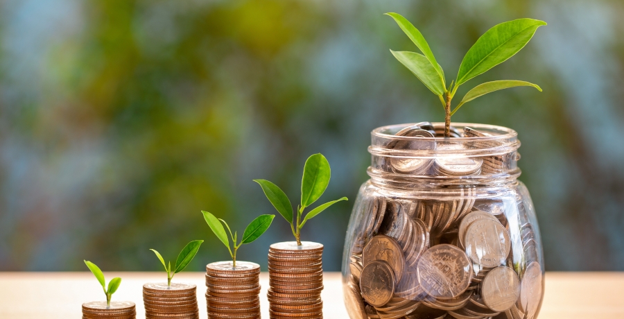 Plant growing in savings coins with nature background. Saving mo