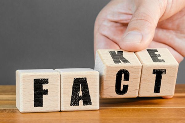 Fake News oder Fakt: Lettern auf Würfeln bilden Wort