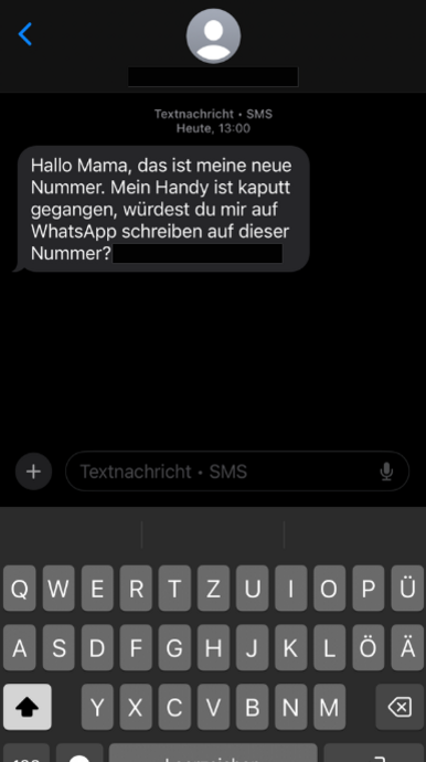 Hallo MP Artikelbild
