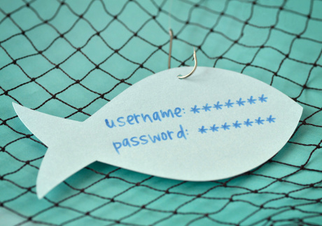 Phishing, Zugangsdaten