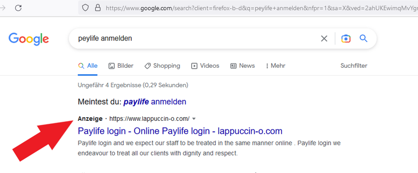 csm_paylife_google