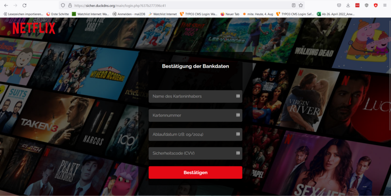 Netflix Phishing Seite